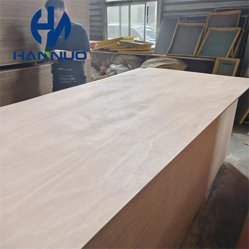 product-500-500 product-500-500
